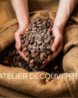 ATELIER DÉCOUVERTE