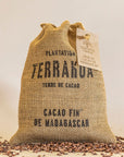 Grué de Cacao